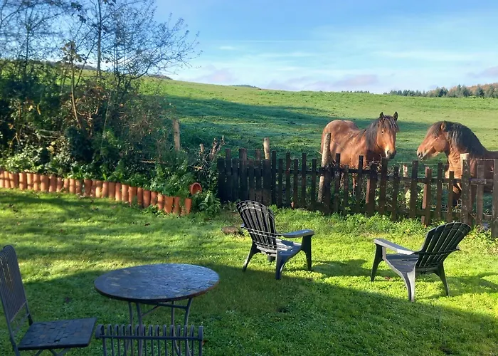 Solapetxea Con Sauna منزل للإقامة Elosu